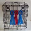 Showoff award racks - Dogs (Crate Mount, Beagle) view 1