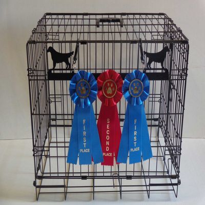 Showoff award racks - Dogs (Crate Mount, Golden Retriever)