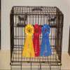 Showoff award racks - Dogs (Crate Mount, Blood Hound) view 1