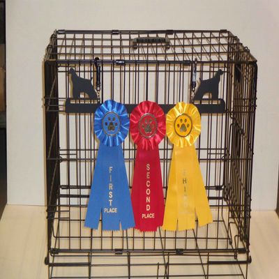 Showoff award racks - Dogs (Crate Mount, Cocker Spaniel)