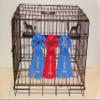 Showoff award racks - Dogs (Crate Mount, Schnauzer) view 1