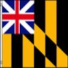 3x5 Calvert Arms Flag Kings Colors Banner Historical Maryland Pennant Outdoor view 1