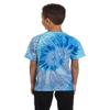 Colortone Tie Dye 100% Cotton T-Shirt for Kids 14-16, Large, Blue Jerry view 3