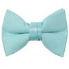 Spring Notion Boys' Pre-Tied Banded Satin Bow Tie, Small with Gift Box, Aqua view 1