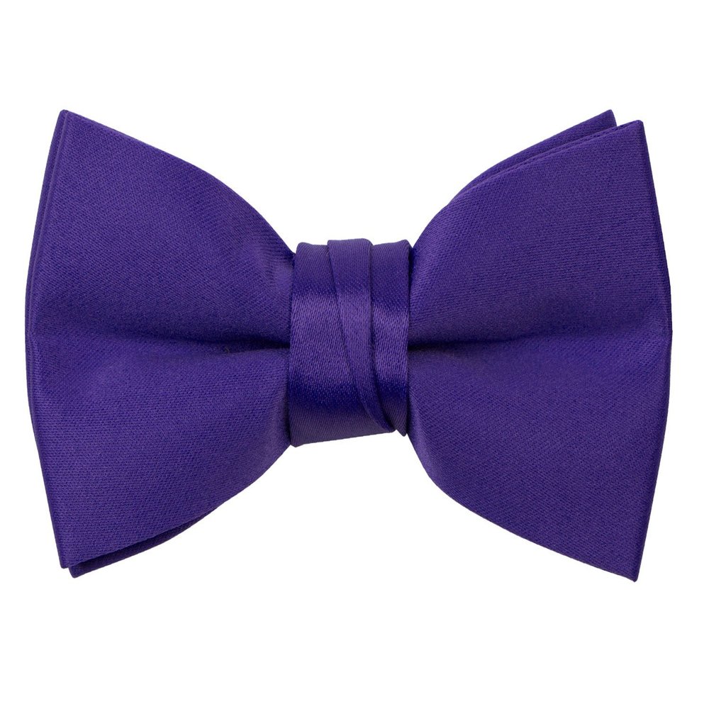 Spring Notion Boys' Pre-Tied Banded Satin Bow Tie, Medium with Gift Box, Purple
