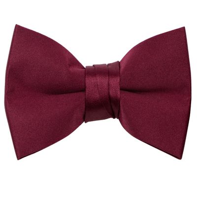 Spring Notion Boys' Pre-Tied Banded Satin Bow Tie, Medium with Gift Box, Burgundy