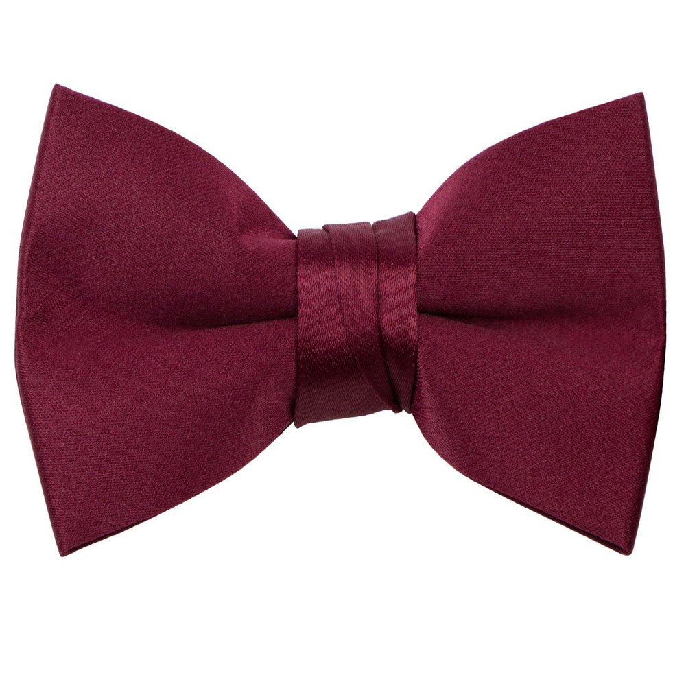 Spring Notion Boys' Pre-Tied Banded Satin Bow Tie, Medium with Gift Box, Burgundy