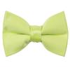 Spring Notion Boys' Pre-Tied Banded Satin Bow Tie, Large with Gift Box, Lime view 1
