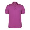 Monterey Club Men's Solid Tailored Collar Short Sleeve Polo Shirt #3670 (Boysen Berry, X-Large) view 1