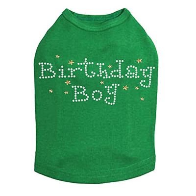 Birthday Boy with Gold Stars Dog Shirt 4XL Kelly Green