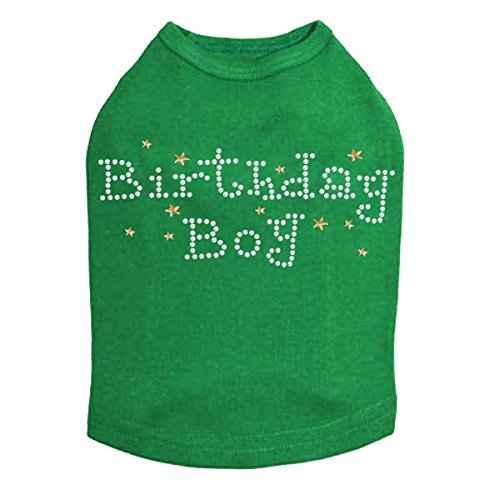 Birthday Boy with Gold Stars Dog Shirt 4XL Kelly Green