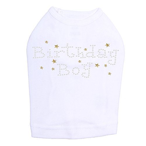 Birthday Boy with Gold Stars Dog Shirt 4XL White