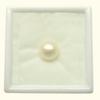 4.48 ct. / 4.98 Ratti Pure & IIGS Certified Pearl (MOTI) Astrological Birthstone by ARIHANT GEMS & Jewels view 2