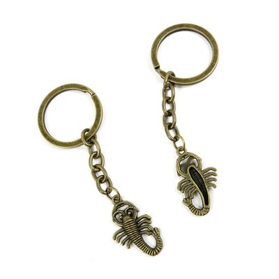 1 Pieces Antique Bronze Keychain Key Chain Tags Keyring Ring Jewelry Making Charms Supplies KC0404 Scorpion Scorpio