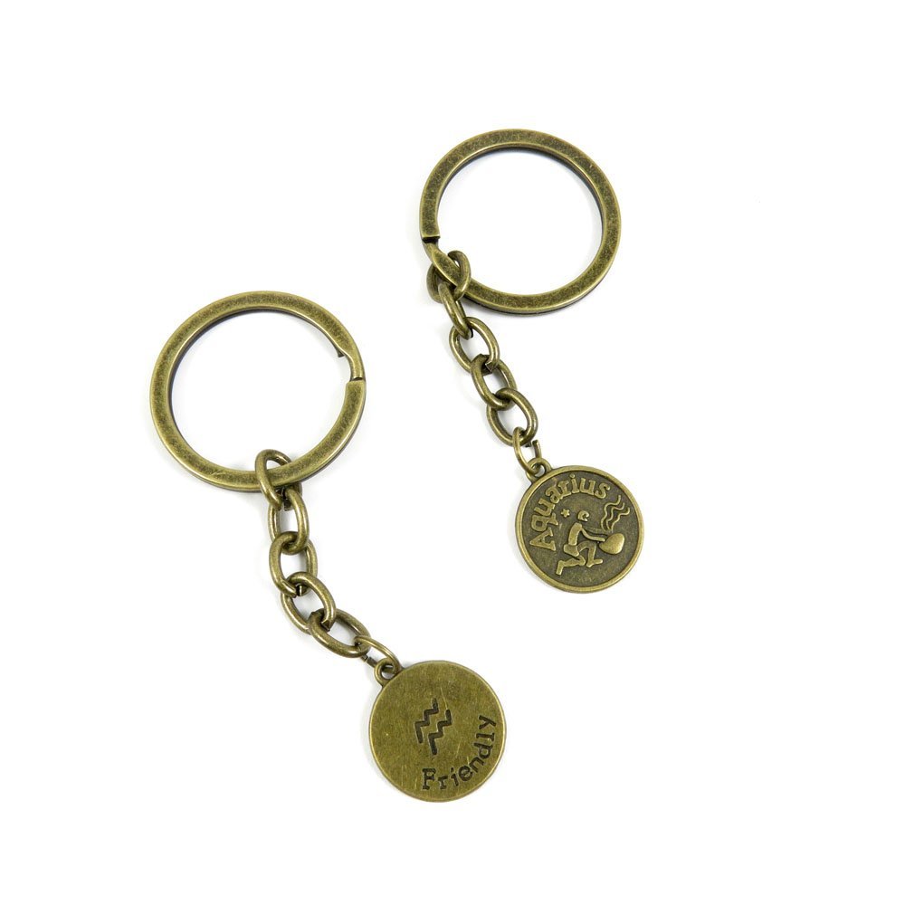 5 Pieces Antique Bronze Keychain Key Chain Tags Keyring Ring Jewelry Making Charms Supplies KC0504 Aquarius