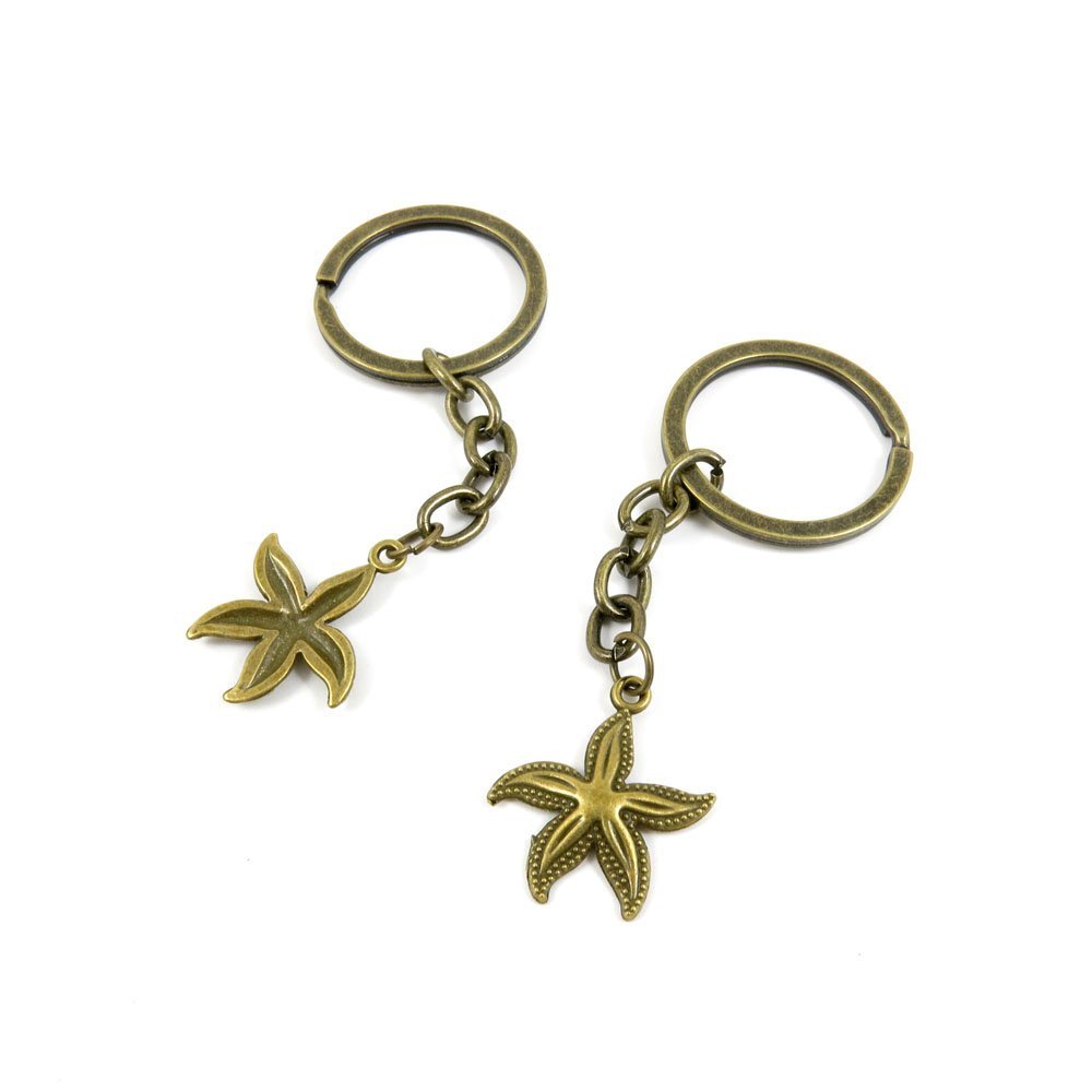 1 Pieces Antique Bronze Keychain Key Chain Tags Keyring Ring Jewelry Making Charms Supplies KC0839 Starfish Sea Star