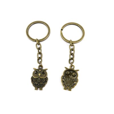 5 Pieces Antique Bronze Keychain Key Chain Tags Keyring Ring Jewelry Making Charms Supplies KC0840 Owl