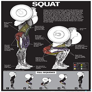 ALGRA Squat Workout Laminated Poster (Black/Dark Grey, 18" x 24")