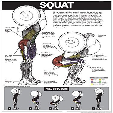 ALGRA Squat Workout Laminated Poster (White/Light Grey, 18" x 24")