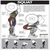 ALGRA Squat Workout Laminated Poster (White/Light Grey, 18" x 24") view 1