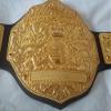 Fandu Belts Adult Replica Big Gold Wrestling Championship Belt Title view 2