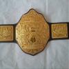Fandu Belts Adult Replica Big Gold Wrestling Championship Belt Title view 4