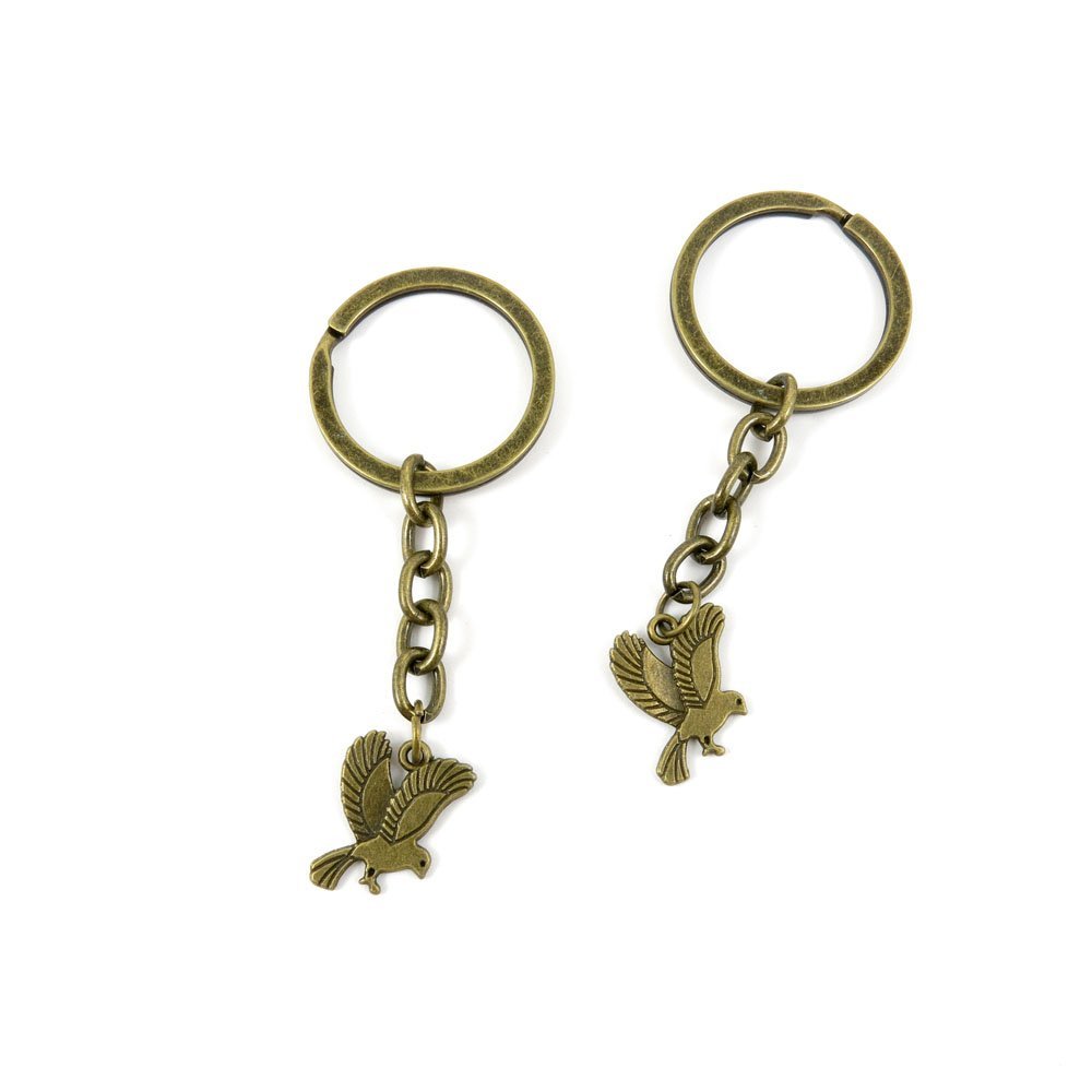 5 Pieces Antique Bronze Keychain Key Chain Tags Keyring Ring Jewelry Making Charms Supplies KC0447 Little Eagle