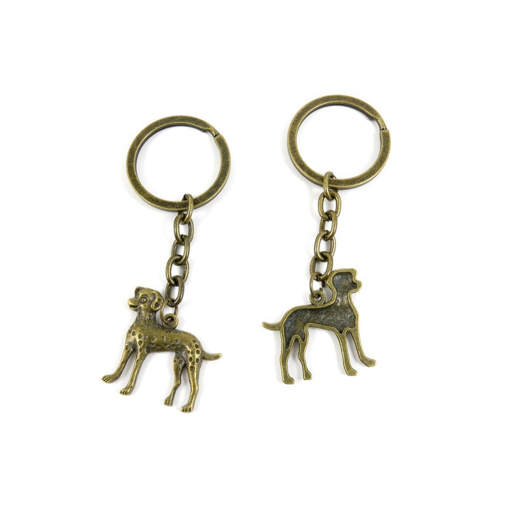 1 Pieces Antique Bronze Keychain Key Chain Tags Keyring Ring Jewelry Making Charms Supplies KC0870 Dog Dalmatians