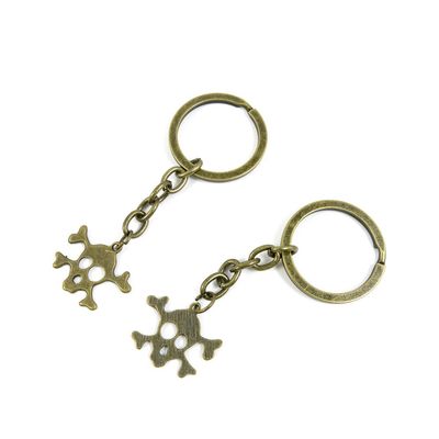 20 Pieces Antique Bronze Keychain Key Chain Tags Keyring Ring Jewelry Making Charms Supplies KC1024 Skull
