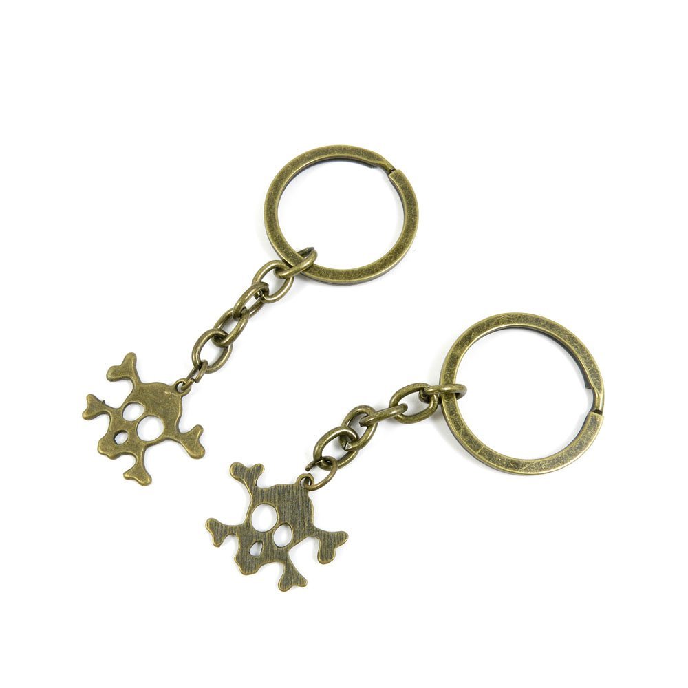 20 Pieces Antique Bronze Keychain Key Chain Tags Keyring Ring Jewelry Making Charms Supplies KC1024 Skull