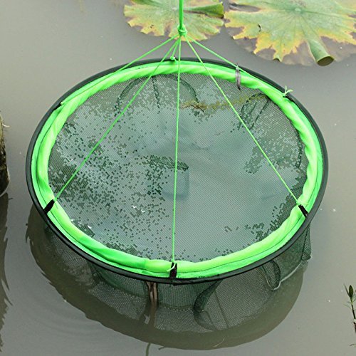 60X25cm Portable Foldable Fishing Trap Cast Net Crab Fish Minnow 6 Entrances