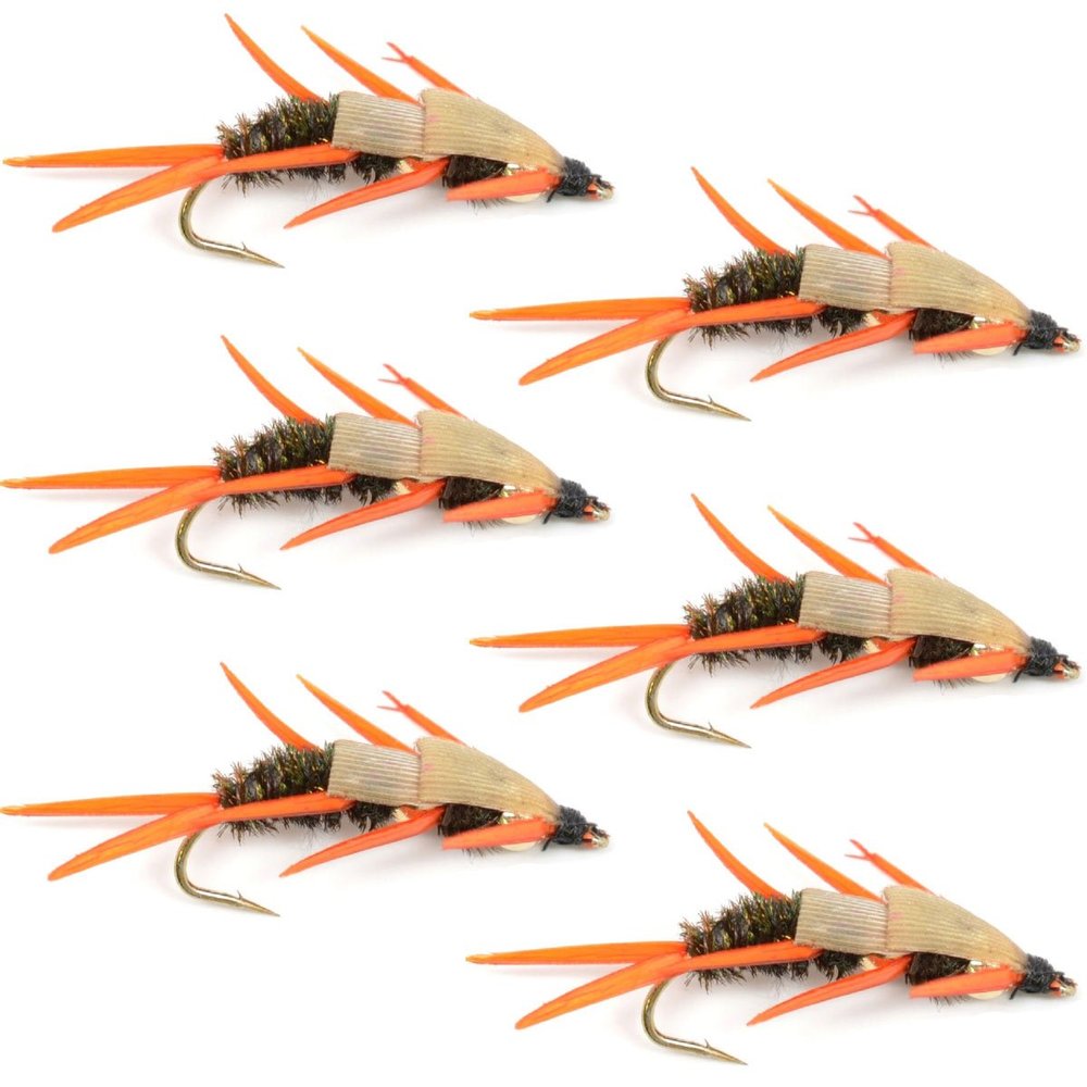 Double Bead Peacock Stonefly Nymph with Amber Biot Legs Fly Fishing Flies - Trout and Bass Wet Fly Pattern - 6 Flies Hook Size 12