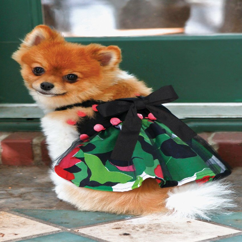 Dog in the Closet, The Sasha Floral with Pom Poms Dog Harness Dress