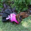 Dog in the Closet, The Kaitlyn Silk Dog Harness Dress view 2