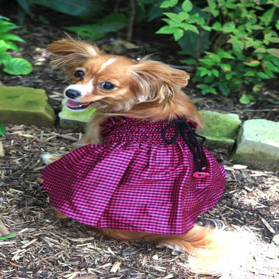 Dog in the Closet, The Lanna Collection - Fuchsia Checked Silk Dress with Crochet Trim