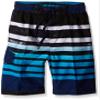 Kanu Surf Little Boys Reflection Quick Dry Beach Swim Trunk, Reflection Navy, Small (4) view 1