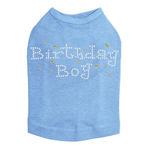 Birthday Boy with Gold Stars Dog Shirt XXS Blue