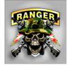 Army Ranger skull sticker/decal view 1