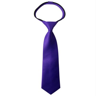 Spring Notion Boys' Pre-tied Satin Zipper Necktie - Adjustable Ties for Kids, X-Small with gift box, Purple