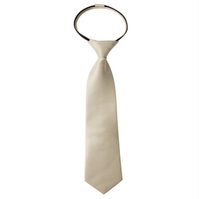 Spring Notion Boys' Pre-tied Satin Zipper Necktie - Adjustable Ties for Kids, X-Small with gift box, Champagne