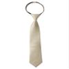 Spring Notion Boys' Pre-tied Satin Zipper Necktie - Adjustable Ties for Kids, X-Small with gift box, Champagne view 1