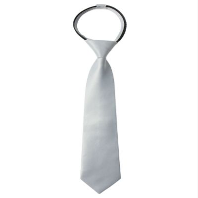 Spring Notion Boys' Pre-tied Satin Zipper Necktie - Adjustable Ties for Kids, Medium with gift box, Grey