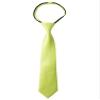 Spring Notion Boys' Pre-tied Satin Zipper Necktie - Adjustable Ties for Kids, Medium with gift box, Lime view 1