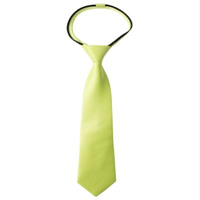 Spring Notion Boys' Pre-tied Satin Zipper Necktie - Adjustable Ties for Kids, Large with gift box, Lime