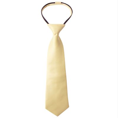 Spring Notion Boys' Pre-tied Satin Zipper Necktie - Adjustable Ties for Kids, Medium with gift box, Yellow
