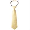 Spring Notion Boys' Pre-tied Satin Zipper Necktie - Adjustable Ties for Kids, Medium with gift box, Yellow view 1