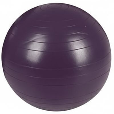 AeroMat Fitness Ball 65cm - Purple