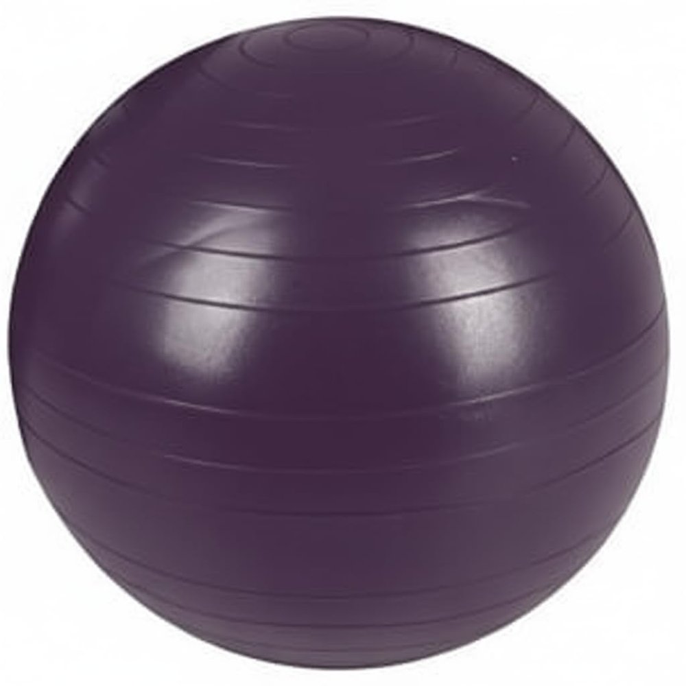 AeroMat Fitness Ball 65cm - Purple