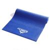 Black Mountain Products Blue Yoga Blocks Blue Yoga Blocks, Set of 2 view 1