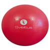 Sveltus Exercise Ball, Raspberry Colour view 1